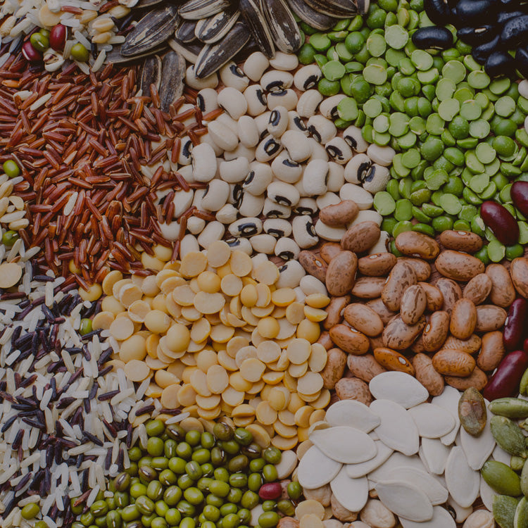 Seeds